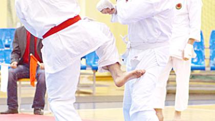 Ka­ra­tis­tai lai­mė­jo ke­lias­de­šimt me­da­lių