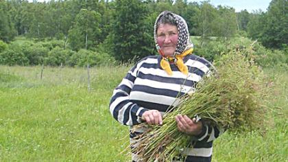 Gyvenimas iš 414 litų pensijos