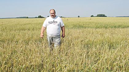 Kruša „iškūlė“ miežių lauką
