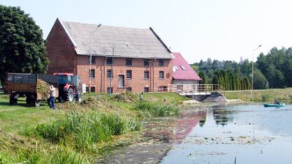Iš Kražantės „prišienauta“ per šimtas tonų augalų