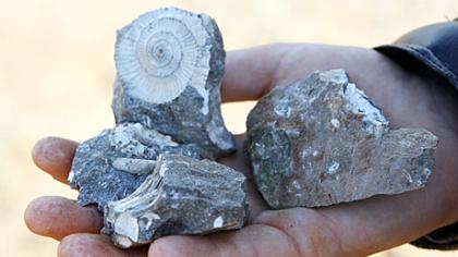 Stovyklautojai rado mįslingų geologijos senienų