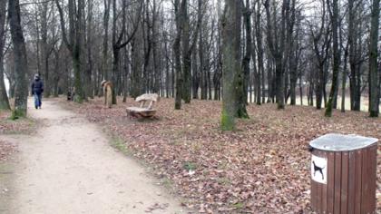 Nau­jos aikš­te­lės šu­nims im­sis ki­tais me­tais