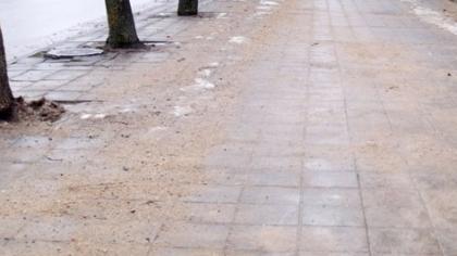 Pakruojo valdžiai – šaligatvių šlavimo pamoka