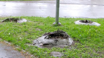 Nykštukai į parką nebegrįš