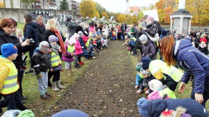 Meras lauks žiedų „pusiau pakvaišusiam“ bėgimui